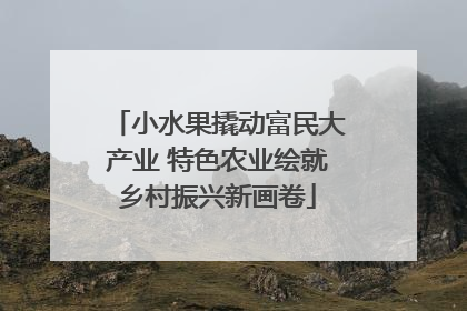 小水果撬动富民大产业 特色农业绘就乡村振兴新画卷