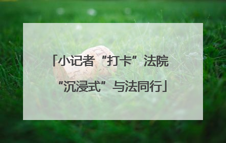 小记者“打卡”法院 “沉浸式”与法同行