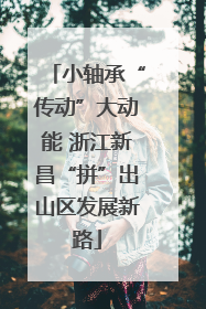 小轴承“传动”大动能 浙江新昌“拼”出山区发展新路