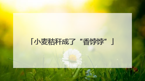 小麦秸秆成了“香饽饽”