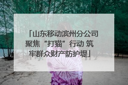 山东移动滨州分公司聚焦“打猫”行动 筑牢群众财产防护堤