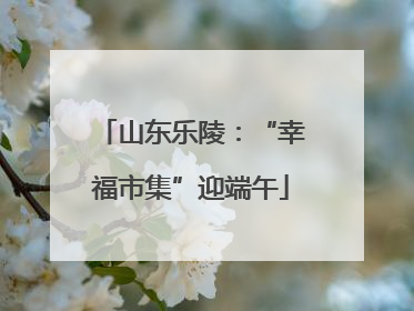 山东乐陵：“幸福市集”迎端午
