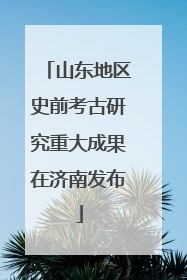 山东地区史前考古研究重大成果在济南发布