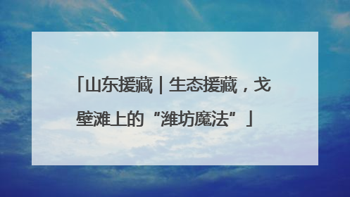 山东援藏｜生态援藏，戈壁滩上的“潍坊魔法”