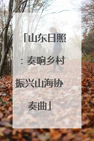 山东日照：奏响乡村振兴山海协奏曲