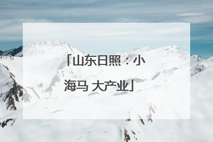 山东日照：小海马 大产业