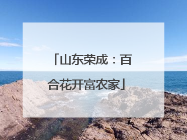 山东荣成：百合花开富农家