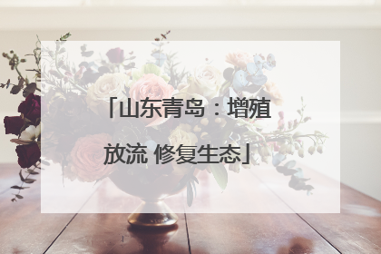 山东青岛：增殖放流 修复生态
