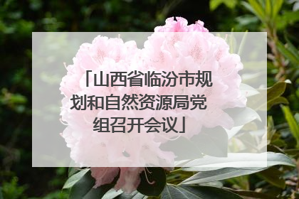 山西省临汾市规划和自然资源局党组召开会议