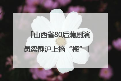 山西省80后蒲剧演员梁静沪上摘“梅”