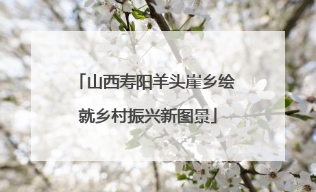 山西寿阳羊头崖乡绘就乡村振兴新图景