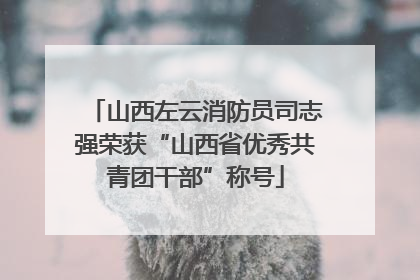 山西左云消防员司志强荣获“山西省优秀共青团干部”称号