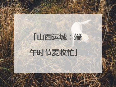 山西运城：端午时节麦收忙