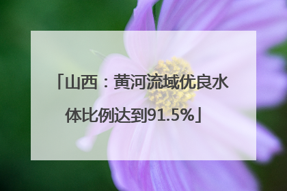 山西：黄河流域优良水体比例达到91.5%