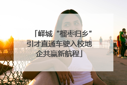 峄城“榴枣归乡”引才直通车驶入校地企共赢新航程