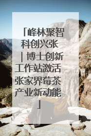 峰林聚智 科创兴张｜博士创新工作站激活张家界莓茶产业新动能