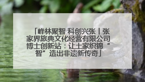 峰林聚智 科创兴张丨张家界旅典文化经营有限公司博士创新站：让土家织锦“智”造出非遗新传奇
