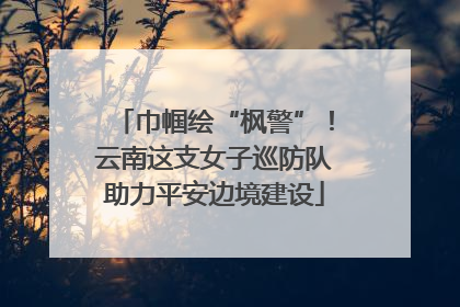 巾帼绘“枫警”！云南这支女子巡防队助力平安边境建设