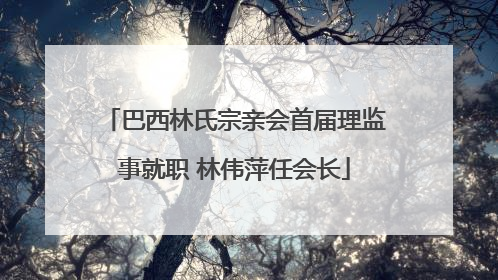 巴西林氏宗亲会首届理监事就职 林伟萍任会长