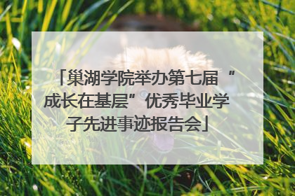 巢湖学院举办第七届“成长在基层”优秀毕业学子先进事迹报告会