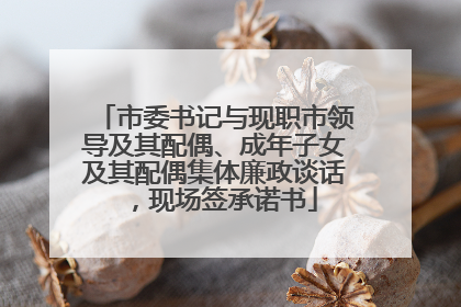 市委书记与现职市领导及其配偶、成年子女及其配偶集体廉政谈话，现场签承诺书