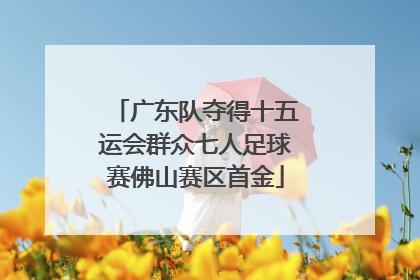 广东队夺得十五运会群众七人足球赛佛山赛区首金