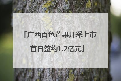 广西百色芒果开采上市 首日签约1.2亿元