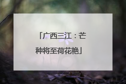 广西三江：芒种将至荷花艳