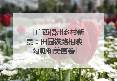 广西梧州乡村新景：田园铁路相映 勾勒和美画卷