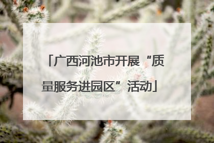 广西河池市开展“质量服务进园区”活动
