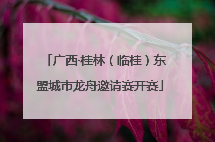 广西·桂林（临桂）东盟城市龙舟邀请赛开赛