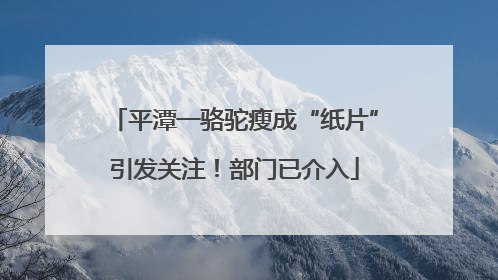 平潭一骆驼瘦成“纸片”引发关注！部门已介入
