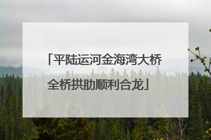 平陆运河金海湾大桥全桥拱肋顺利合龙