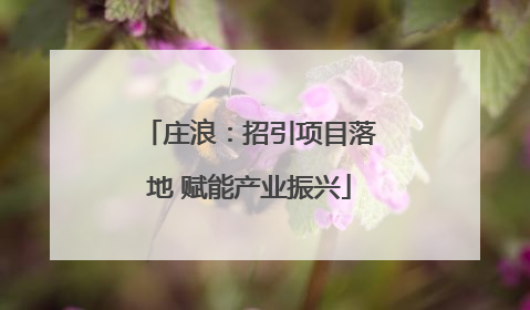 庄浪：招引项目落地 赋能产业振兴
