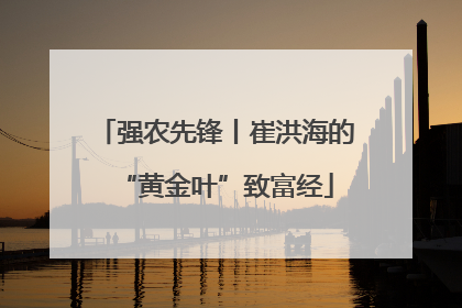 强农先锋丨崔洪海的“黄金叶”致富经