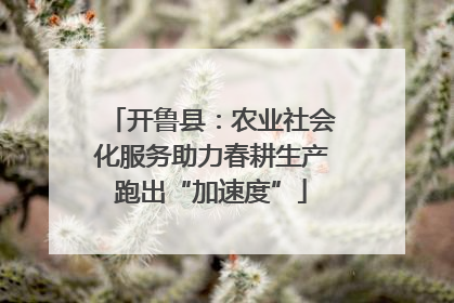 开鲁县：农业社会化服务助力春耕生产跑出“加速度”