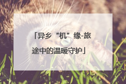 异乡“机”缘-旅途中的温暖守护