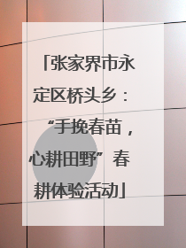 张家界市永定区桥头乡：“手挽春苗，心耕田野”春耕体验活动