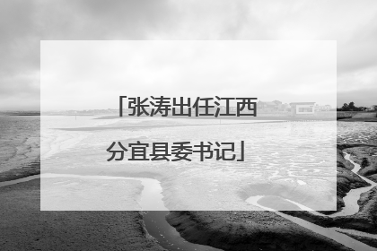张涛出任江西分宜县委书记