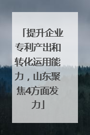提升企业专利产出和转化运用能力，山东聚焦4方面发力