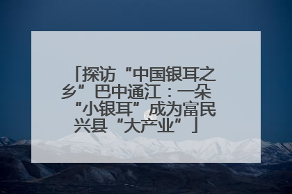 探访“中国银耳之乡”巴中通江：一朵“小银耳”成为富民兴县“大产业”