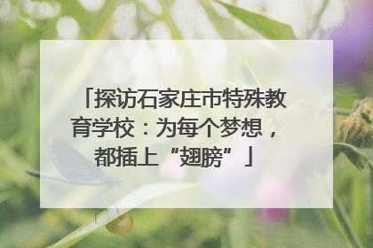 探访石家庄市特殊教育学校：为每个梦想，都插上“翅膀”