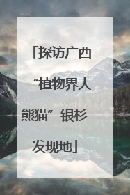探访广西“植物界大熊猫”银杉发现地