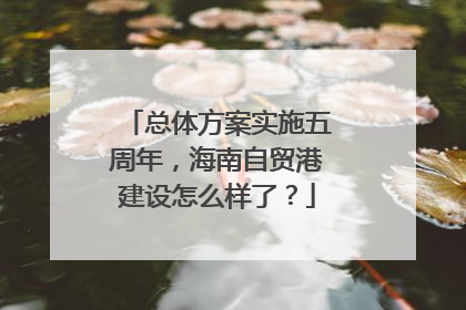 总体方案实施五周年，海南自贸港建设怎么样了？