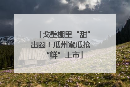 戈壁棚里“甜”出圈！瓜州蜜瓜抢“鲜”上市