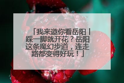 我来邀你看岳阳丨踩一脚就开花？岳阳这条魔幻步道，连走路都变得好玩！