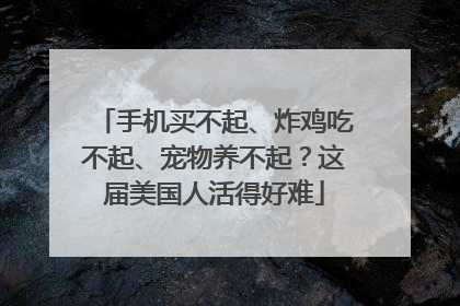 手机买不起、炸鸡吃不起、宠物养不起？这届美国人活得好难