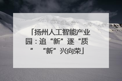 扬州人工智能产业园：追“新”逐“质” “新”兴向荣