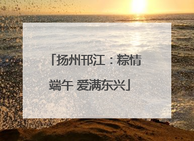 扬州邗江：粽情端午 爱满东兴