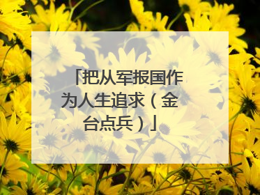 把从军报国作为人生追求（金台点兵）